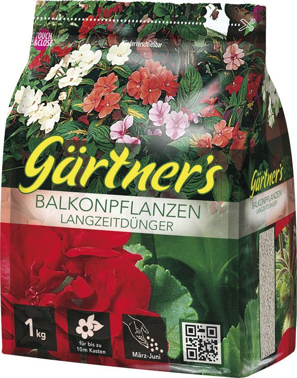 Giardiniere Che Applica Fertilizzante Insetticida Alla Sua Thuja Usando Uno Spruzzatore