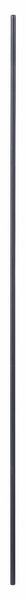 BOSCH FÜHRUNGSSTANGE FÜR BOSCH-OBERFRÄSEN,10 X 800 MM