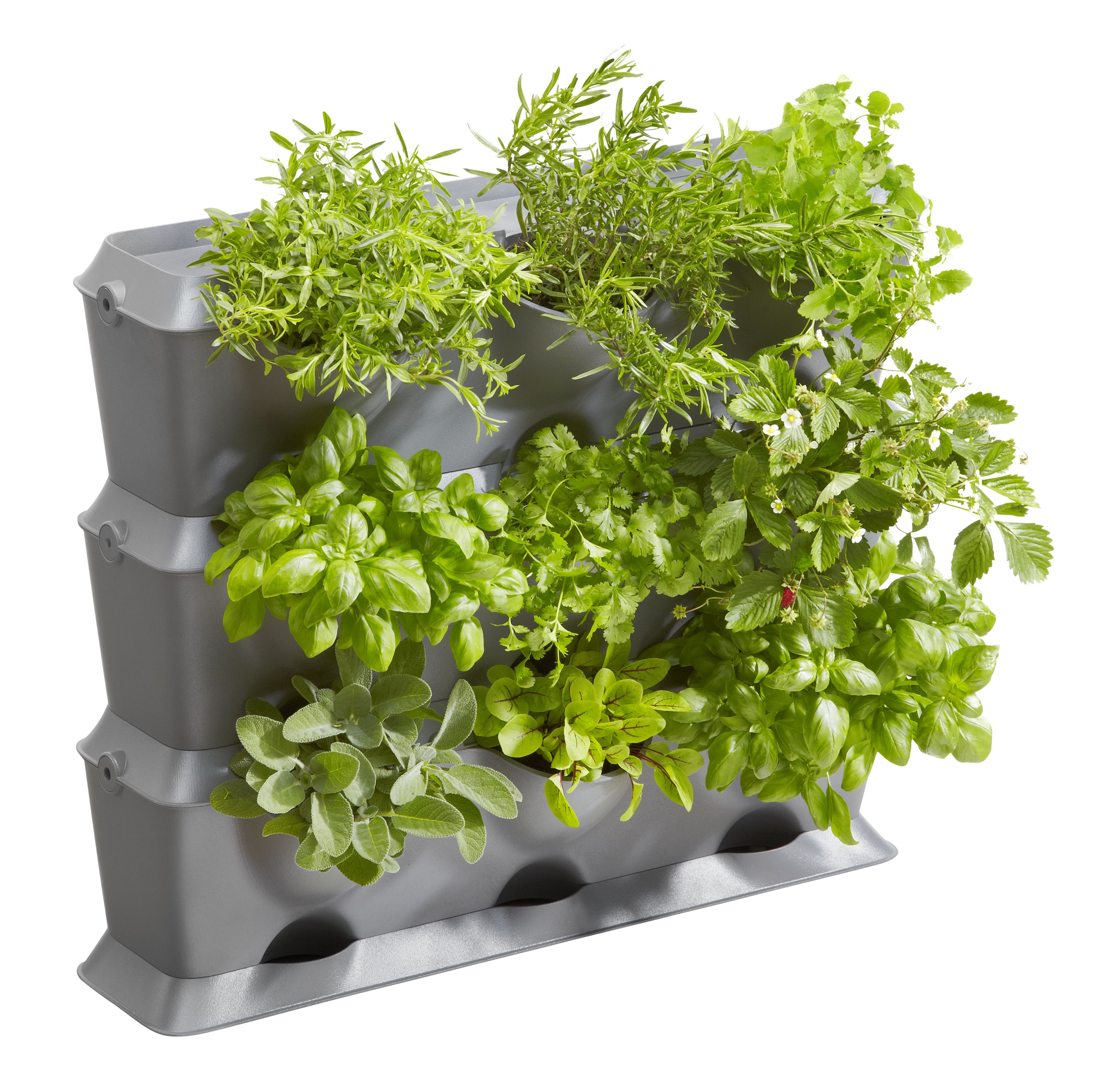 NatureUp! Basis Set Vertikal 13150 Gardena CBdirekt