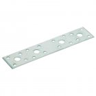 Pollmann Lochplatten 100x300 verzinkt MPN: 4011338143402