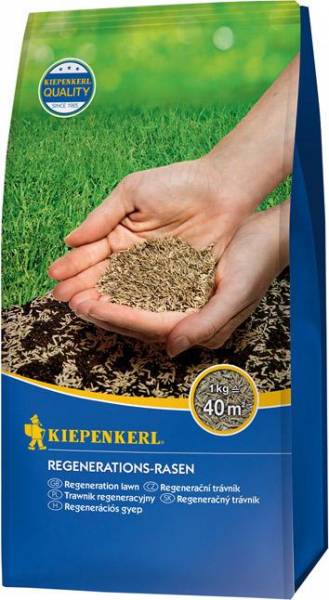 Rasensamen Regenerations-Rasen 1 kg Kiepenkerl